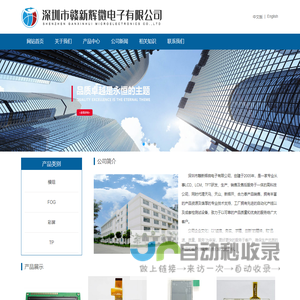 深圳市赣新辉微电子有限公司
